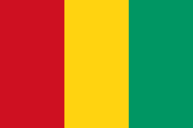 Vlag Guinee - 100x150cm